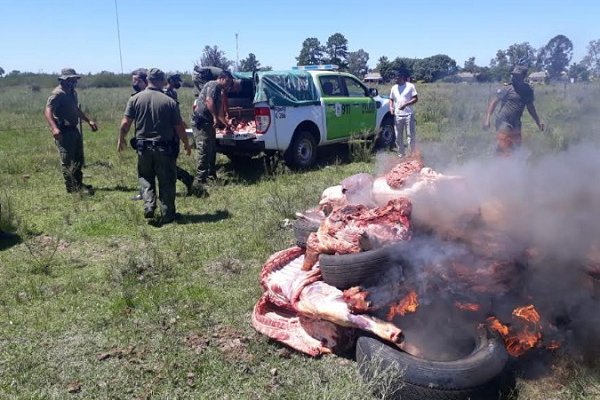 Policías incautaron carne vacuna, corderos y lechones no aptos para el consumo