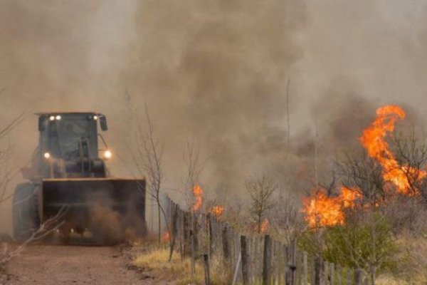 Promueven proyecto para contribuir a la protección de bosques nativos