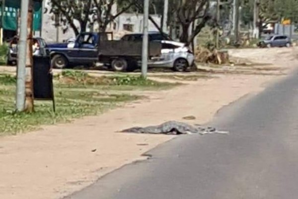 Un peatón murió atropellado en Ruta 5