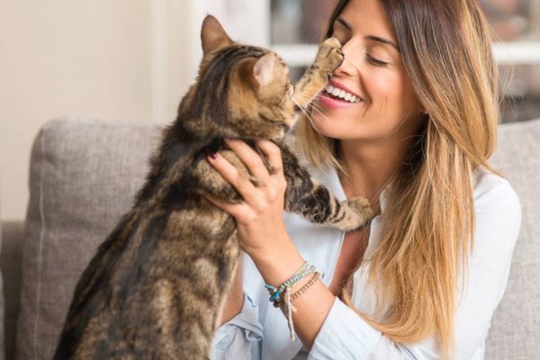 ¿Es buena idea adoptar una mascota en tiempos de coronavirus?