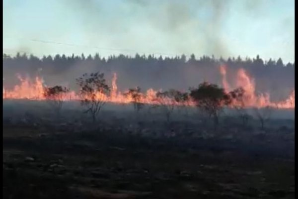 Bomberos trabajan para sofocar las llamas en Virasoro