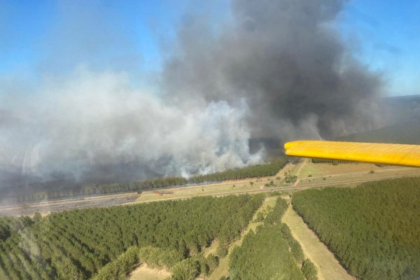 Gigantesco incendio forestal se entiende entre Ituzaingó y Virasoro