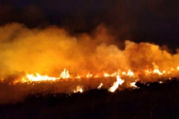 Fue controlado el incendio forestal en zona de la Ruta 120