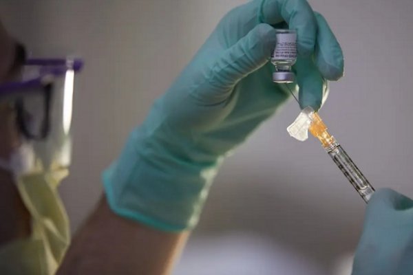 Coronavirus: Científicos argentinos desarrollaron una estrategia para detectar las nuevas variantes en tiempo real