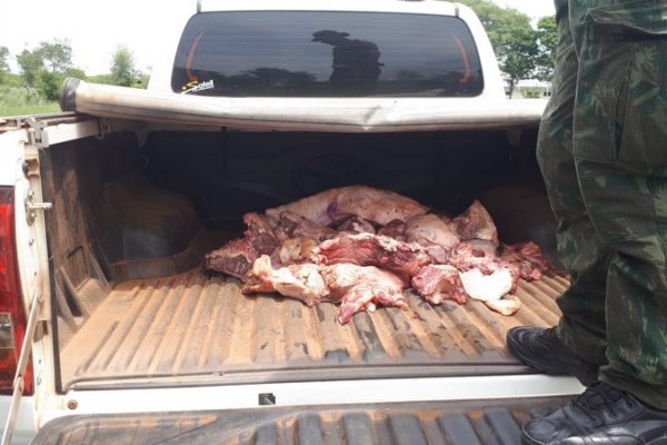 Secuestraron carne no apta para el consumo en Itatí y Ramada Paso