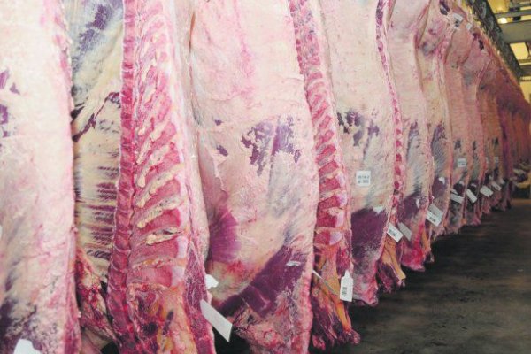 El consumo de carne vacuna cayó a su nivel más bajo de los últimos 100 años