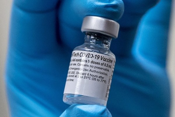 La vacuna de Pfizer neutralizó mutaciones de variantes del Reino Unido y Sudáfrica