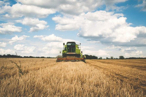 Pese a apertura parcial de exportaciones de maíz, el campo mantendrá el paro de 72 horas