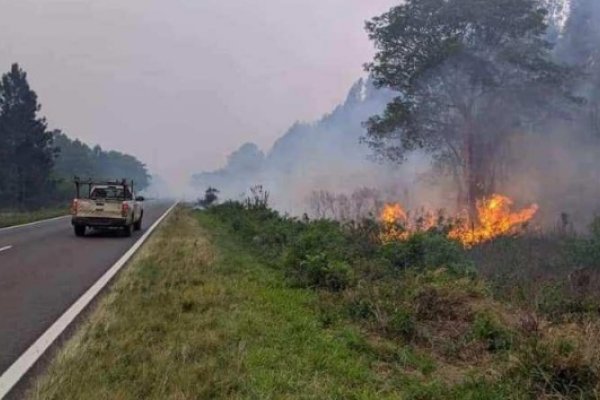 Incendio en aserradero puso en alerta a toda la comunidad