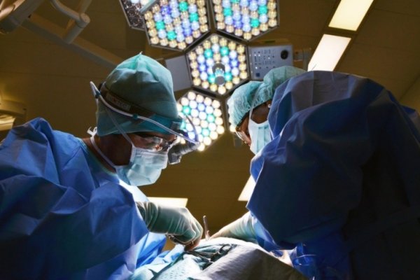 Por primera vez un hombre recibió un trasplante de los dos hombros y los dos brazos
