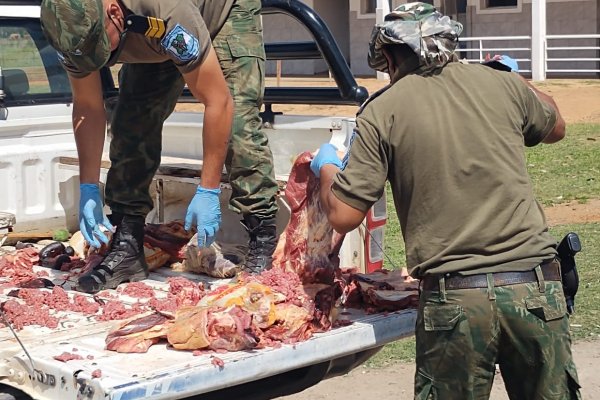 Secuestraron y quemaron 206 kilos de carne en Corrientes