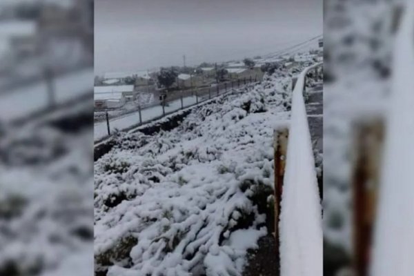 Nieve en pleno verano: La puna de Jujuy se tiñó de blanco y dejó un paisaje único