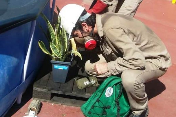 Control focal en el barrio San Benito para prevenir el Dengue