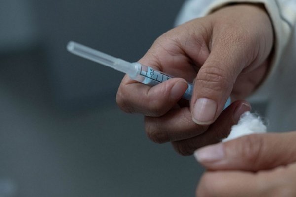 La Argentina trabaja en el diseño de una vacuna contra el coronavirus