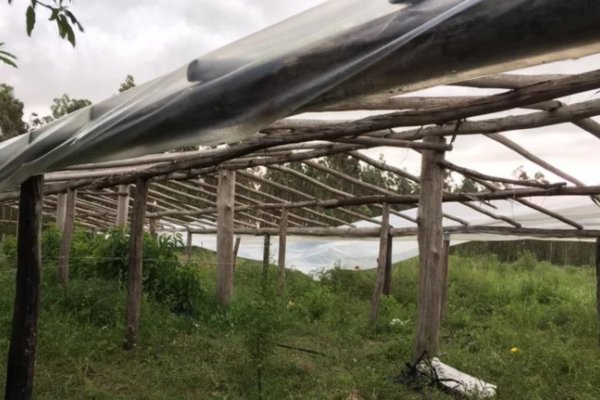 El temporal causó destrozos en el interior provincial