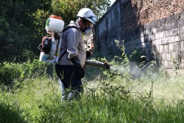 Vecinos reclaman acciones municipal ante la eclosión masiva de mosquitos