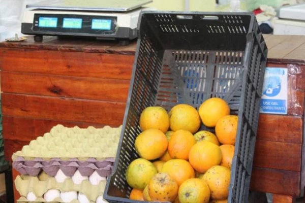 Crece la cotización de las naranjas correntinas después de la sequía del 2020