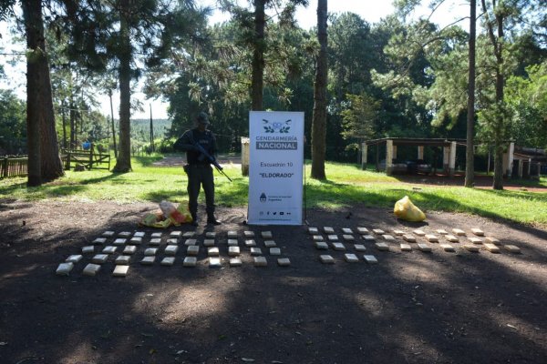 Gendarmes hallaron 76 kilos de marihuana ocultos entre la vegetación