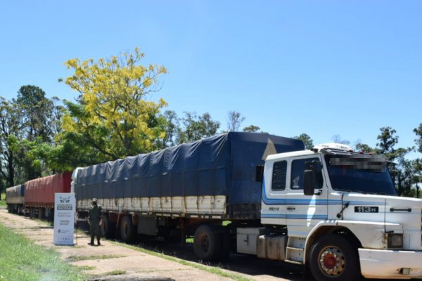 Gendarmería decomisó 88 toneladas de soja transportadas de manera ilegal