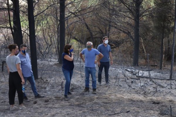 Tensión política entre Nación y Río Negro por incendio en El Bolsón