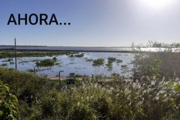Creciente del Paraná tapó obras privadas en espacios públicos