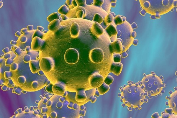 Detectan en Argentina dos variantes brasileñas del coronavirus en personas que viajaron a ese país
