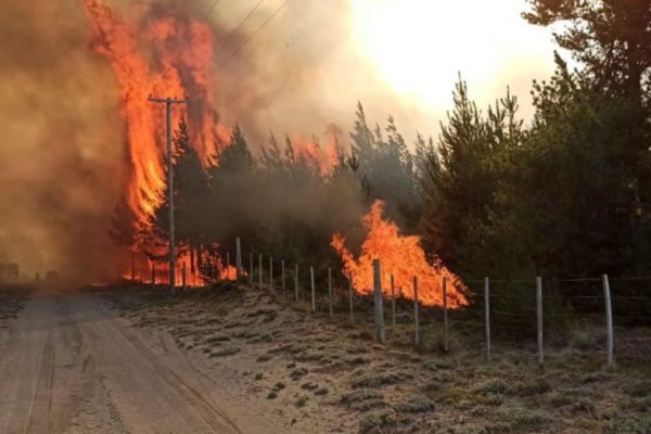 El Bolsón: tratan de evitar que el fuego avance hacia una comunidad mapuche