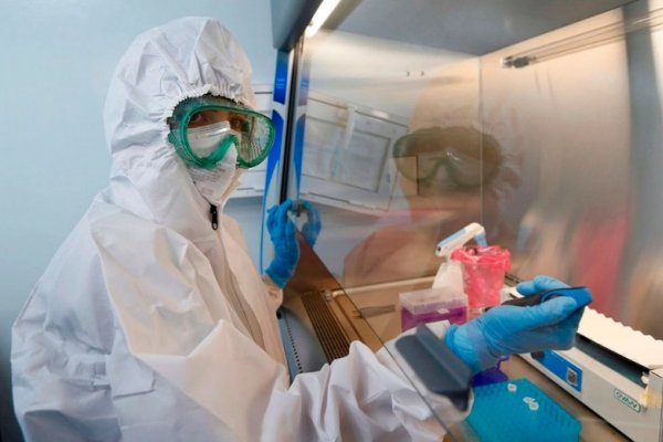 Los anticuerpos duran hasta un año en el 70% de los recuperados de coronavirus