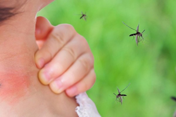 Dos primeros muertos por dengue en la Ciudad de Buenos Aires