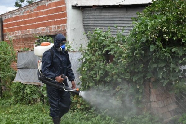 Se realizó un operativo de descacharrado y fumigación en Capital