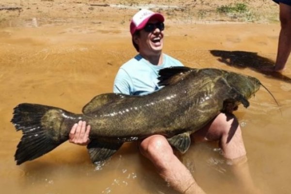 Corrientes: Pescaron un manguruyú de 80 kilos y lo devolvieron al río