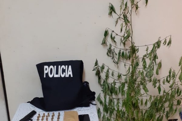 Detuvieron a un sujeto y secuestraron marihuana
