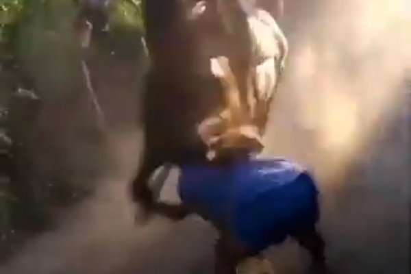 VIDEO| Embarazada arrollada por un caballo en una carrera clandestina