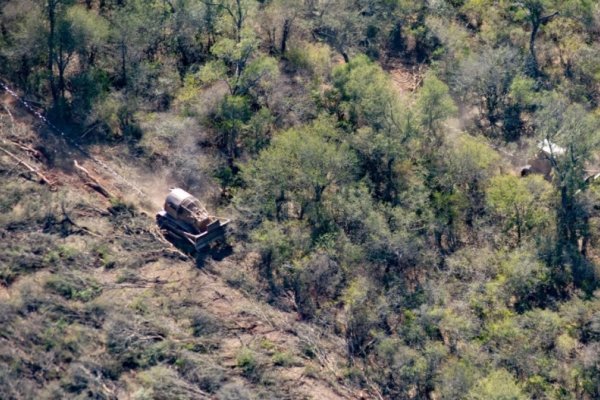 Aumentarán en Salta un 400 por ciento las multas para los desmontes ilegales