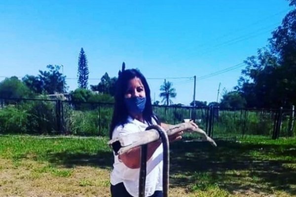 Exhibió una serpiente muerta en una escuela y la repudiaron