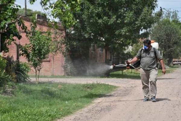 Hoy, se realizará el descacharrado y la fumigación en el barrio San Roque Este