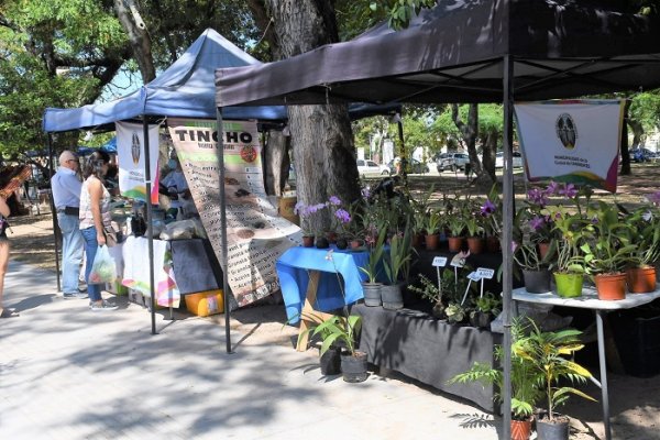 Las Ferias de la Ciudad visitarán esta semana los barrios San Gerónimo, 17 de Agosto y Santa María