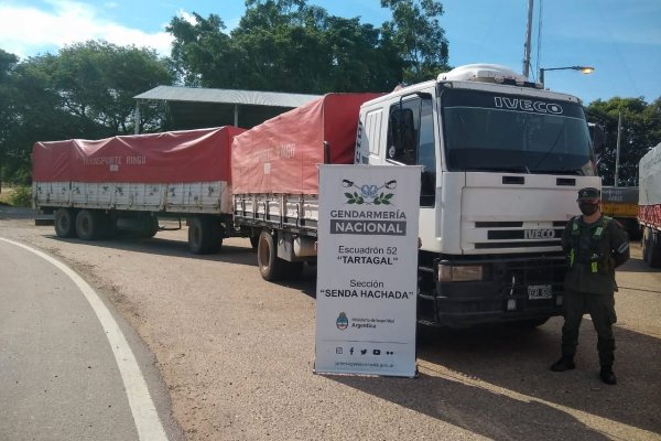 La Gendarmería incautó 240 toneladas de maíz y 30 toneladas de soja ilegales