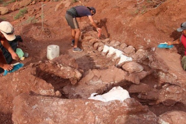 Científicos argentinos hallaron el titanosaurio más antiguo a nivel mundial