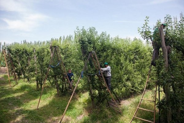 Renatre amplía su cobertura de prestaciones por desempleo a más trabajadores rurales