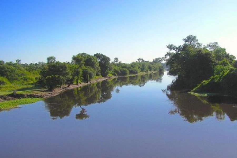 Describen cómo influyó en la diversidad del Iberá la desconexión con el río Paraná hace 10 mil años