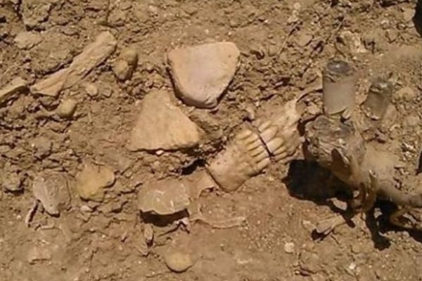 Limpiaban una estancia y encontraron restos humanos