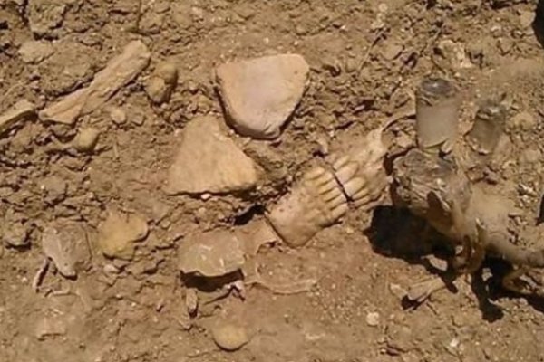 Limpiaban una estancia y encontraron restos humanos