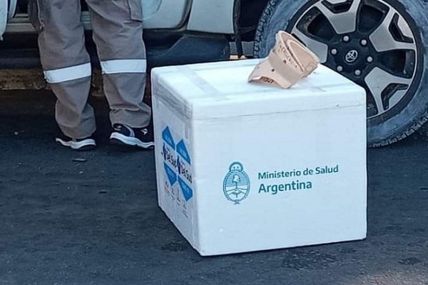 Gobierno de Corrientes dijo que es garantía que funcionarios trasladen vacunas