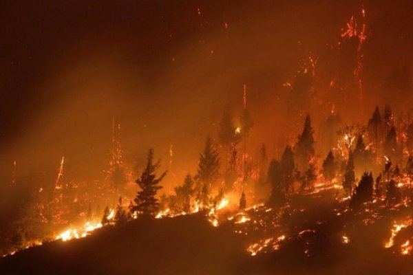 Corrientes es una de las provincias que tienen incendios forestales activos