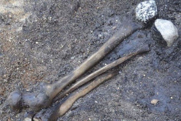 Ruta 43: Hallaron restos óseos en un campo de Corrientes