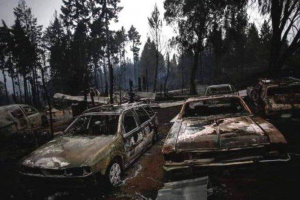 Incendios en la Patagonia: llegó auxilio de Desarrollo Social para 400 familias