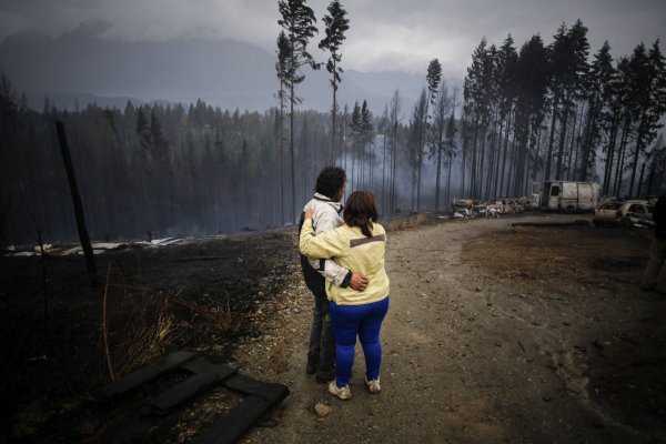 ANSES duplicará los pagos a los afectados por los incendios forestales
