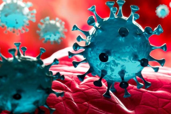 En Argentina ya hay circulación comunitaria de cuatro nuevas cepas de coronavirus