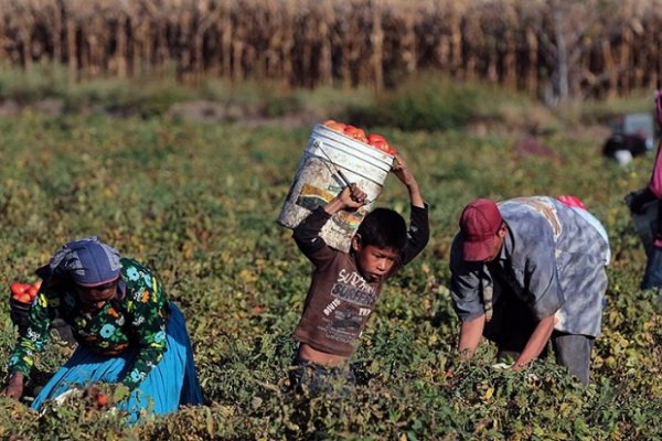 Rescataron a más de 100 trabajadores rurales en condiciones infrahumanas